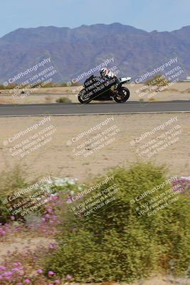 media/Mar-12-2023-SoCal Trackdays (Sun) [[d4c8249724]]/Turn 15 Inside Bloom (130pm)/